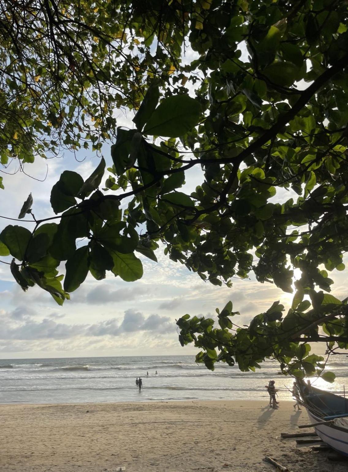 12 Monks - Beachside Hostel Arambol Buitenkant foto